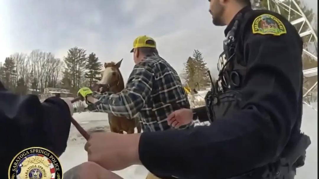 Saratoga Springs police and neighbors rescue horse from icy pond