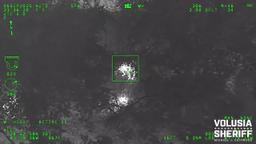 Bodycam footage screenshot of a black bear in Florida bush.