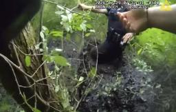 Body camera footage of a police officer searching through thick mud and vegetation in a wooded swamp area.